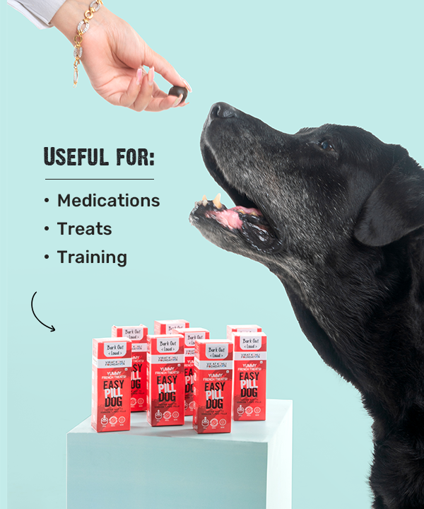 Dog pill top