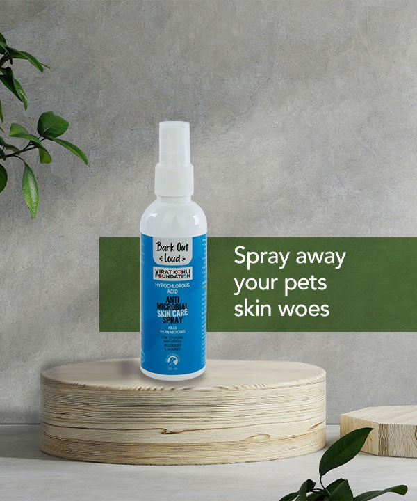 Hypoallergenic Combo - Anti-Microbial Spray, Anti Allergy and Itch Relief Shampoo, Mini Fishes Treat